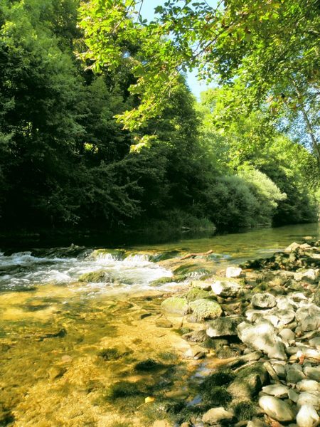 Illustration de l'actualité