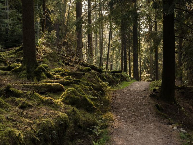 Illustration de l'actualité