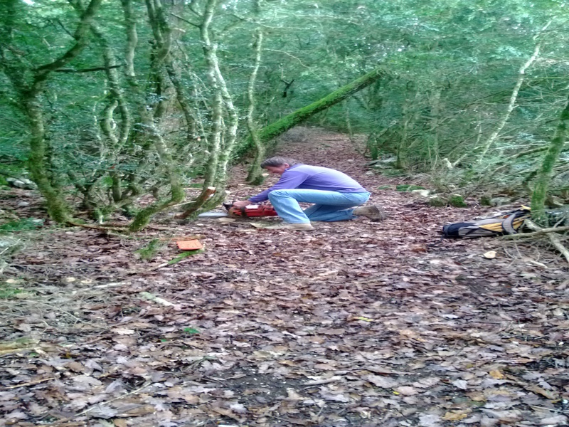 Illustration de l'actualité